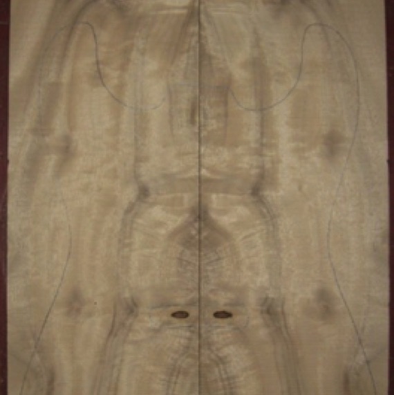 Myrtle Electop top 3A $45
(2) top plates 6-3/4" x 26-1/2"
Air dried since 2006, lots of flame, knots can be placed under bridge/pickup, 3/16" + thickness.
set #133-1217 Myrtle Electop top 3A $45
(2) top plates 6-3/4" x 26-1/2"
Air dried since 2006, lots of flame, knots can be placed under bridge/pickup, 3/16" + thickness.
set #133-1217